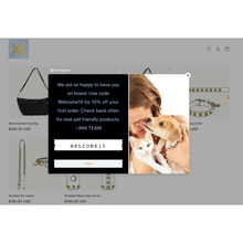 Load image into Gallery viewer, Fashion Shopify Website Development