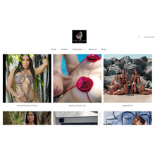 Load image into Gallery viewer, Fashion Shopify Website Development