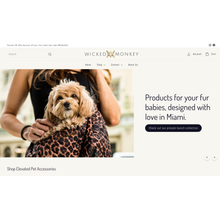 Load image into Gallery viewer, Fashion Shopify Website Development
